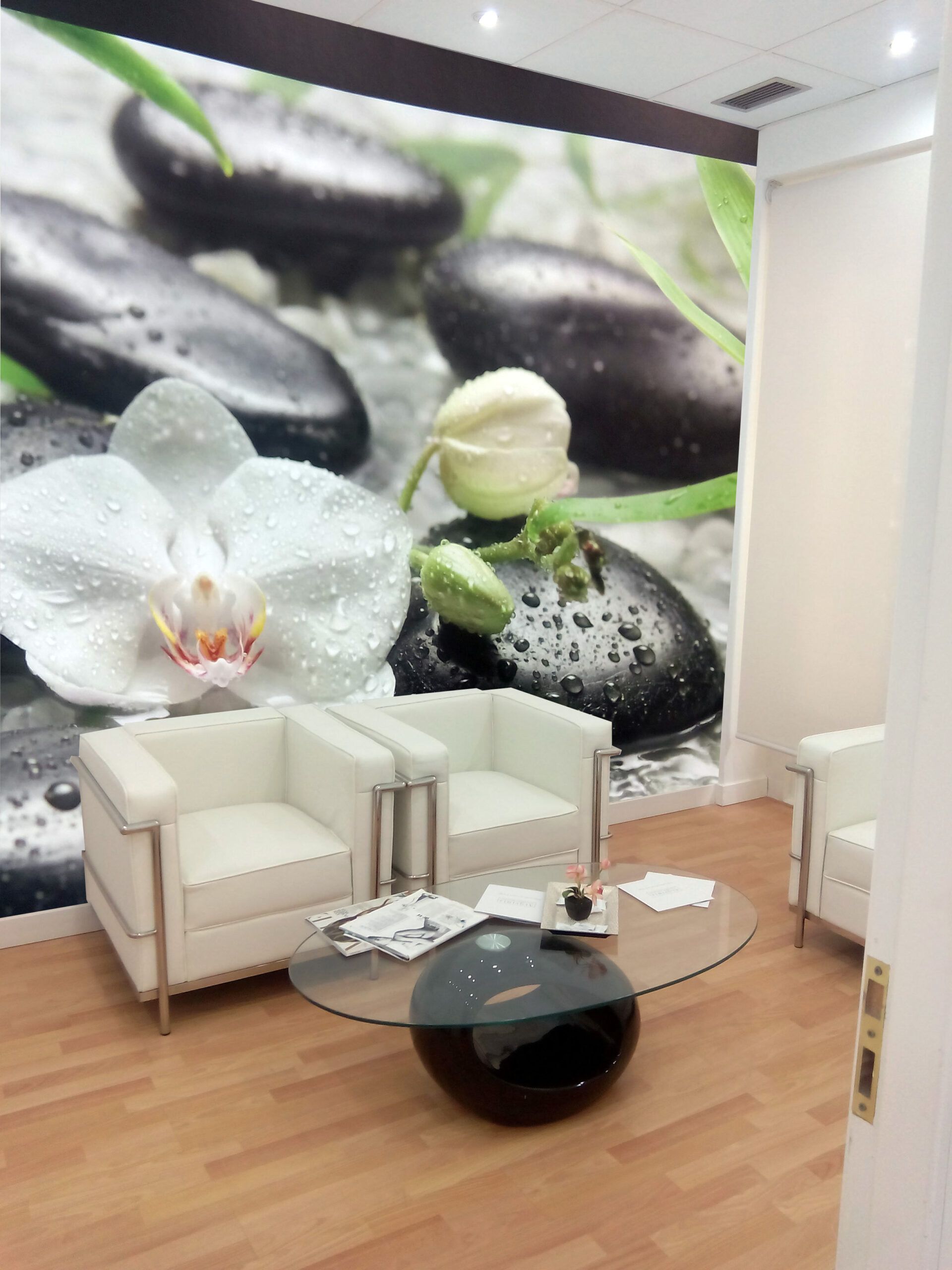 Decoracion del Hogar 2